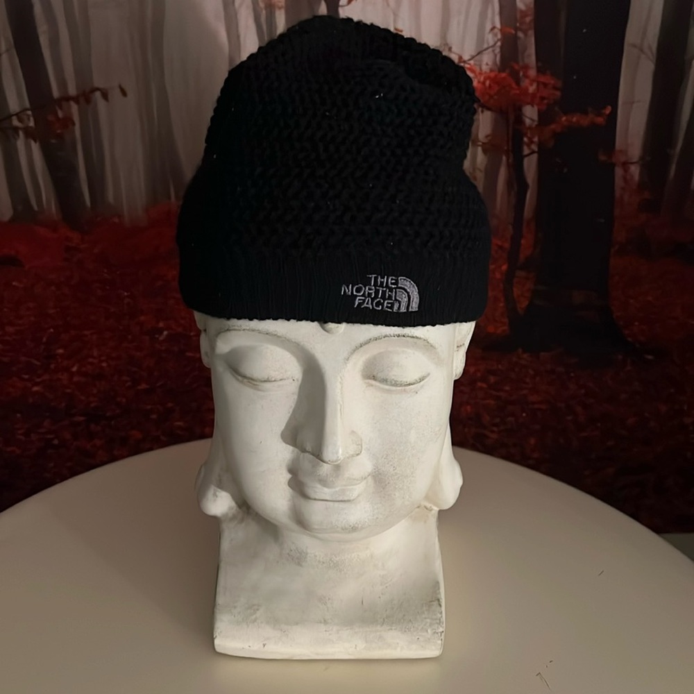 North Face Hat - image 1